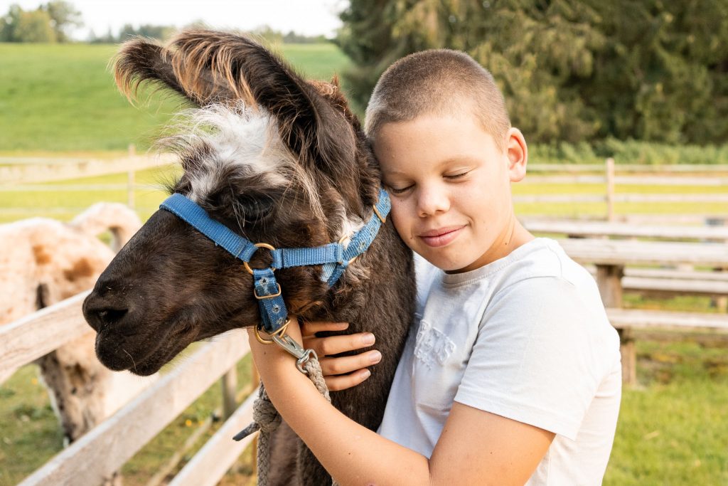 Ein Junge schmust mit seinem Alpaka.