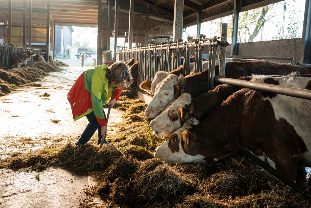 Ferienhof Fotografie: Zeige begeistert Kinder in eurem Stall mithelfen.