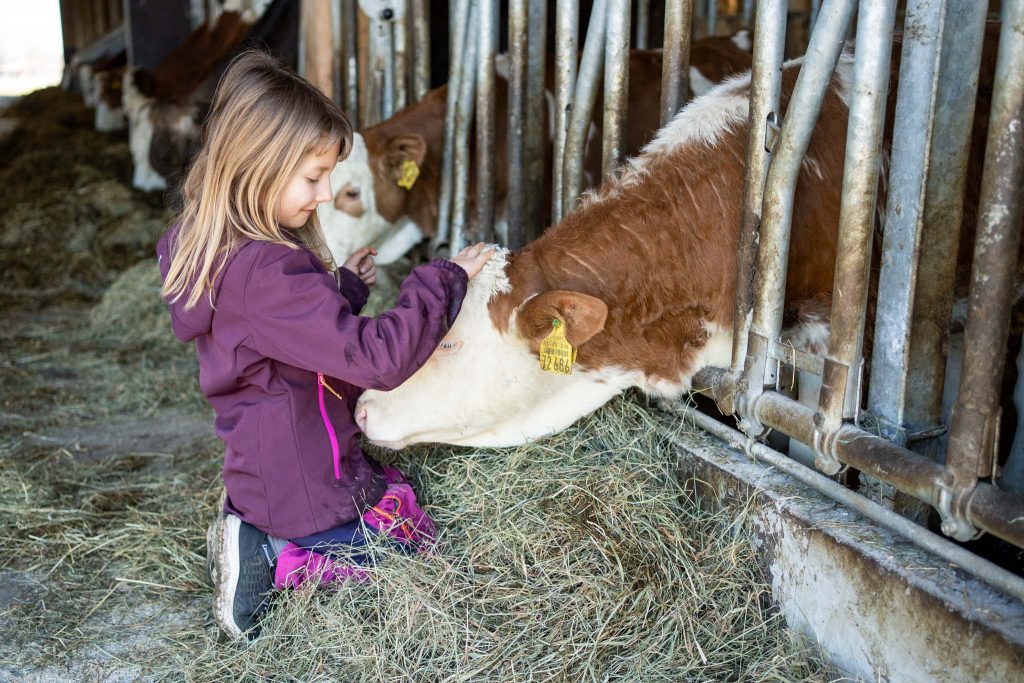 Ein Mädchen hat einen innigen Moment mit einem kleinen Kälbchen im Stall.