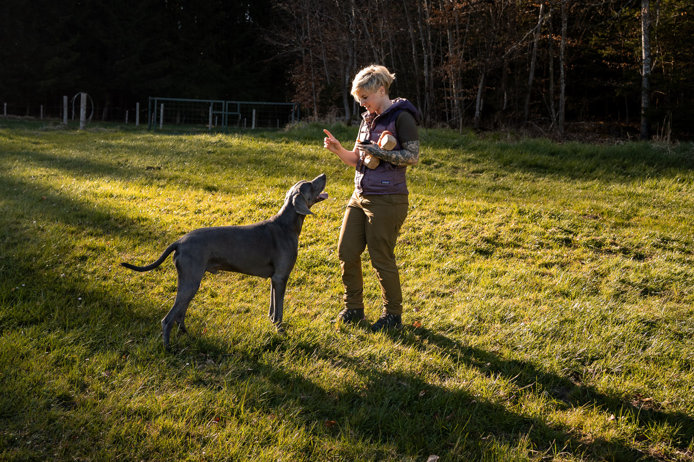 Eine Frau und ihr Hund üben ein Kommando.