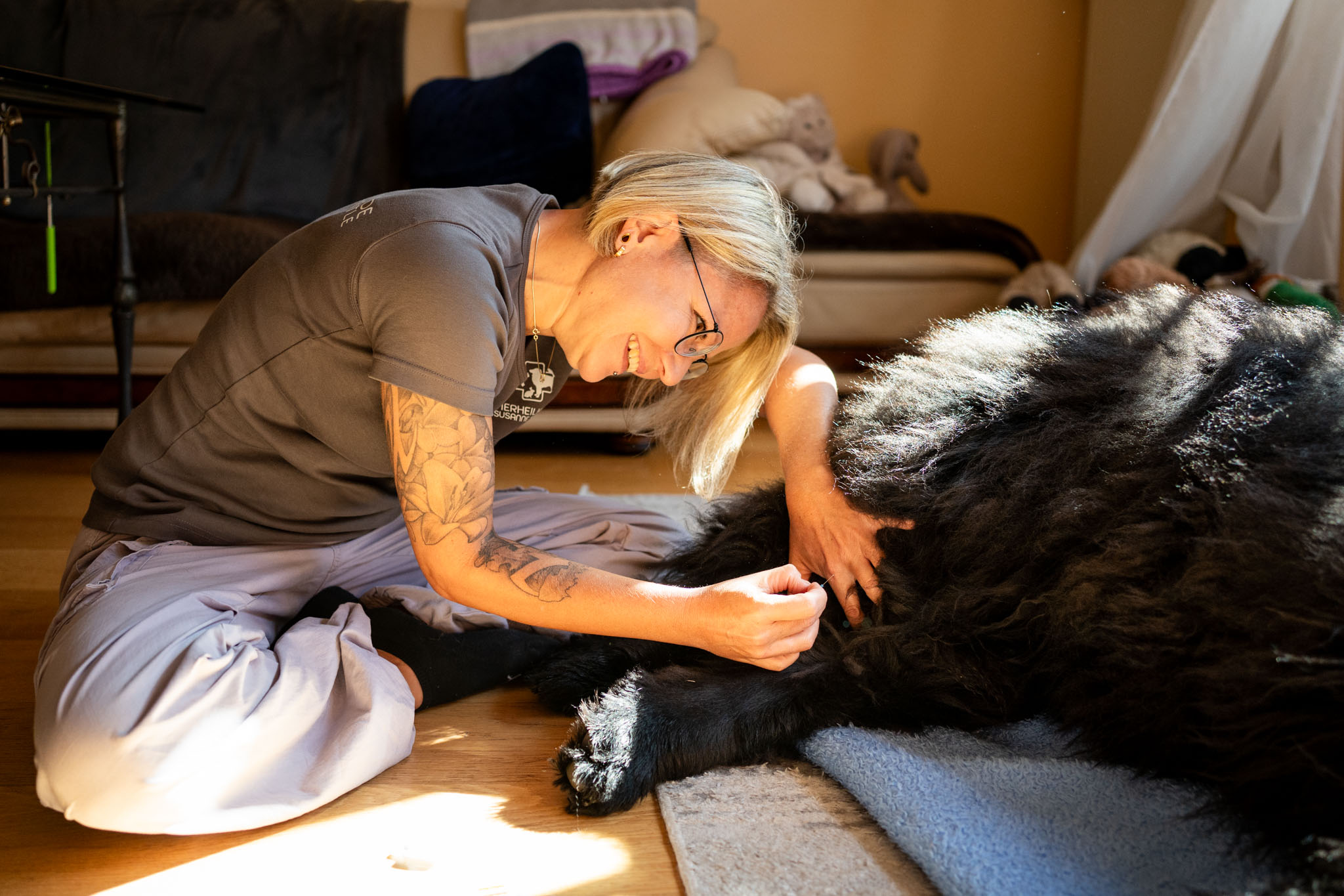 Personal Branding Fotografie im Einsatz: Eine Tierheilpraktikerin setzt eine Akupunkturnadel bei einem Neufundländer.